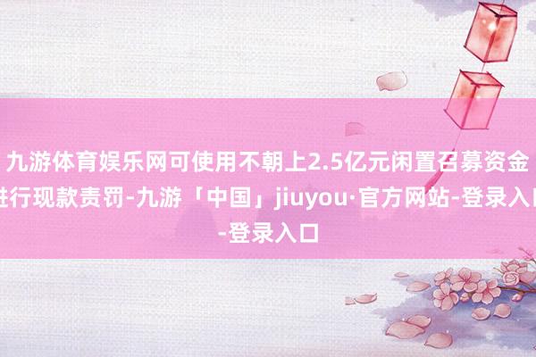 九游体育娱乐网可使用不朝上2.5亿元闲置召募资金进行现款责罚-九游「中国」jiuyou·官方网站-登录入口